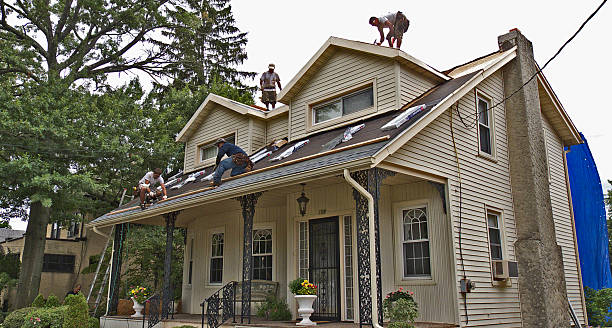 Best Roof Gutter Cleaning  in Stowell, TX