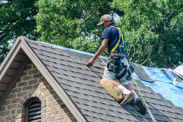 Best Roof Gutter Cleaning  in Stowell, TX